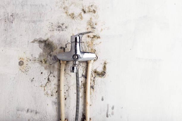 Best Mold Removal Specialists  in Hughson, CA