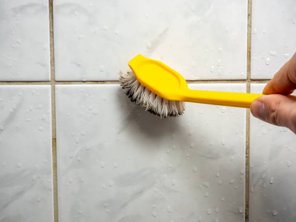 Best Certified Mold Removal  in Hughson, CA