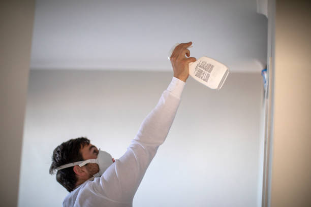 Best Mold Testing  in Hughson, CA