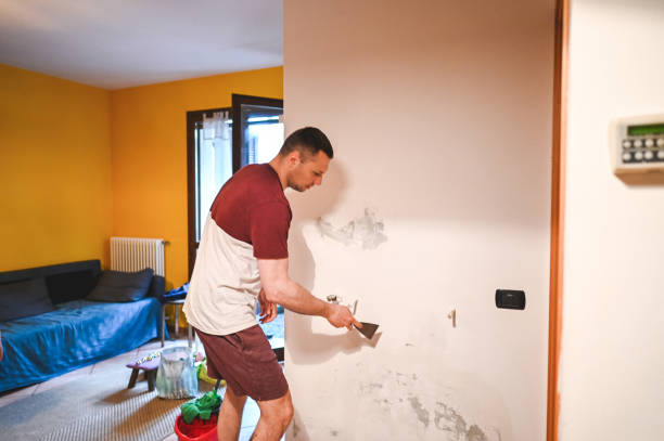 Best Same-Day Mold Removal  in Hughson, CA