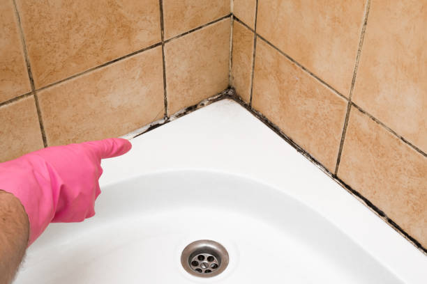 Best Attic Mold Removal  in Hughson, CA